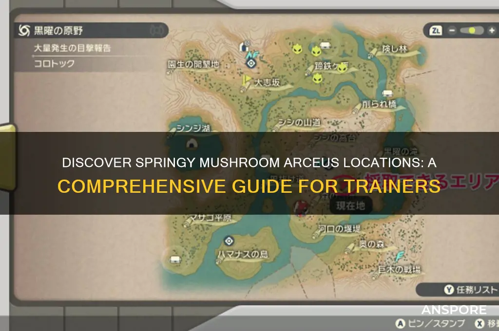 where can i find springy mushroom arceus
