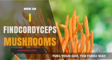 Discovering Cordyceps Mushrooms: Top Locations and Harvesting Tips