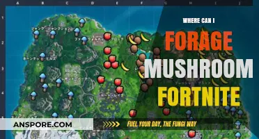 Fortnite Mushroom Foraging Guide: Best Locations to Find Mushrooms