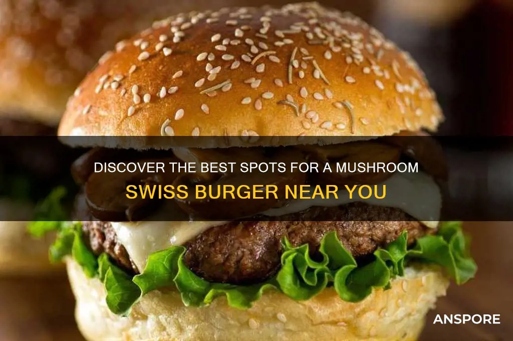 where can i get a mushroom and swiss burger