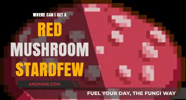 Finding Red Mushrooms in Stardew Valley: Locations and Tips