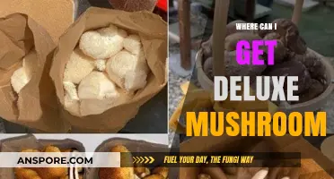 Discover Top Spots to Buy Deluxe Mushrooms for Gourmet Cooking