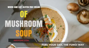 Discover Gluten-Free Cream of Mushroom Soup Options Near You