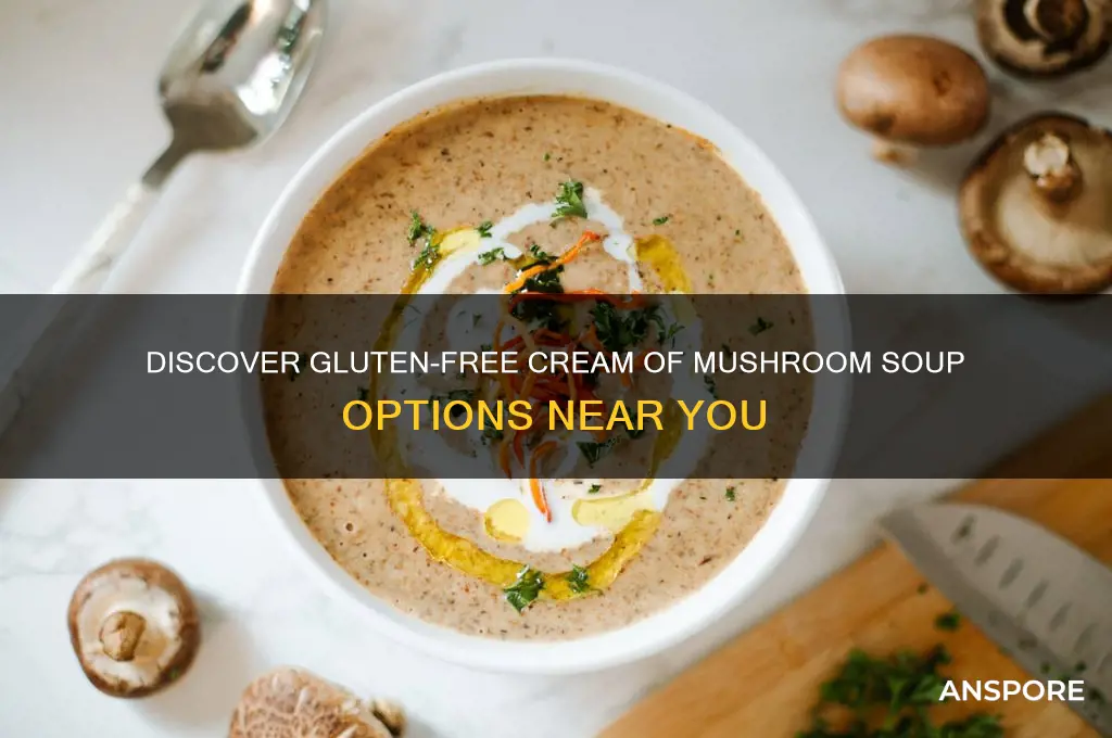 where can i get gluten free cream of mushroom soup