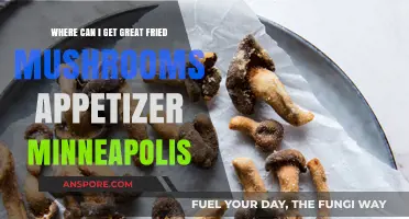 Best Fried Mushrooms Appetizer Spots in Minneapolis: A Tasty Guide