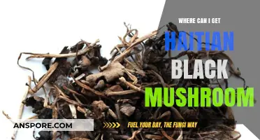Discover Authentic Haitian Black Mushroom Sources: A Comprehensive Guide