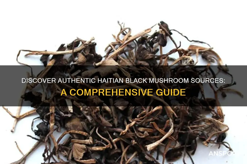 where can i get haitian black mushroom