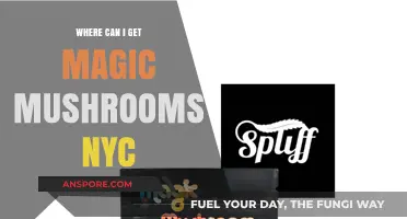 Finding Magic Mushrooms in NYC: Legal Sources and Safe Options
