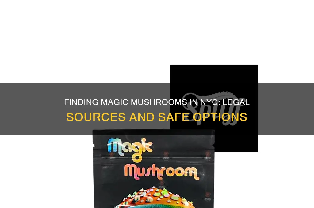 where can i get magic mushrooms nyc
