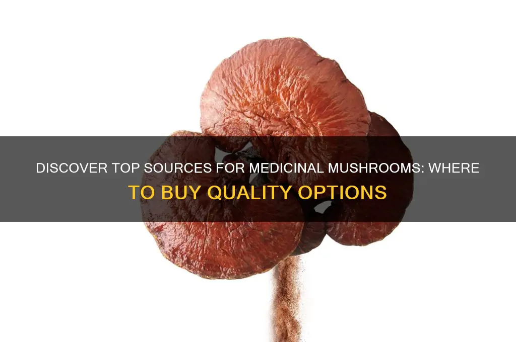 where can i get medicinal mushrooms