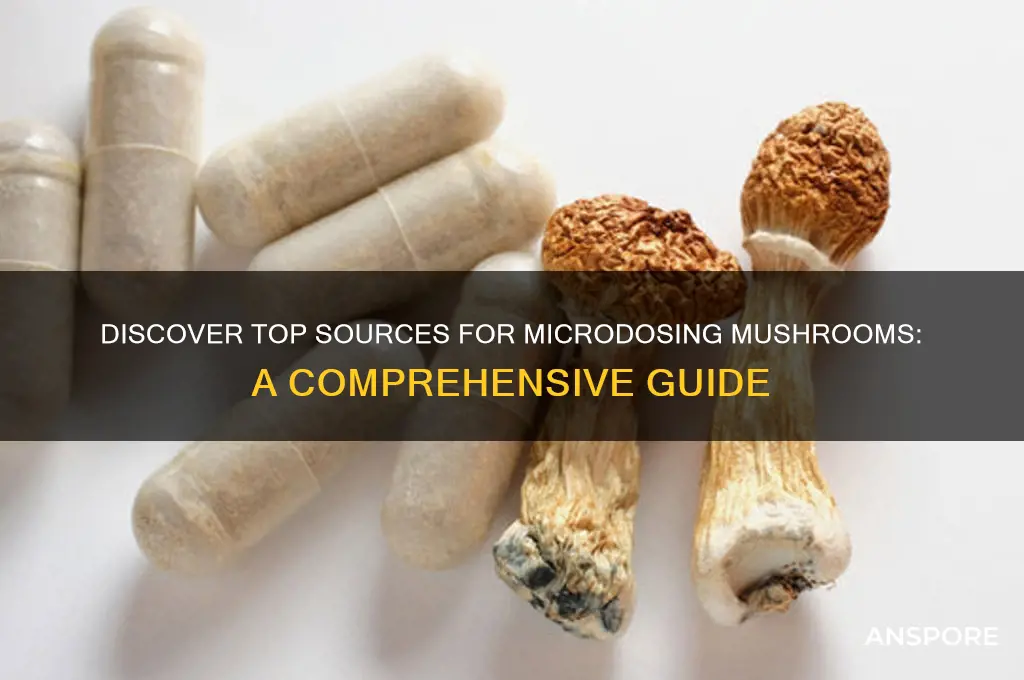 where can i get microdising mushrooms
