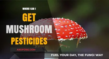 Effective Mushroom Pesticides: Where to Find and Safely Use Them