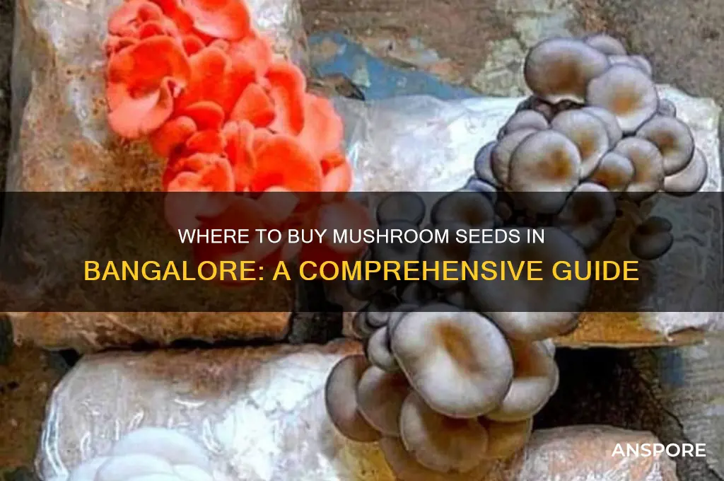 where can i get mushroom seeds in bangalore
