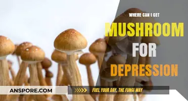 Exploring Natural Remedies: Where to Find Mushrooms for Depression Relief