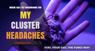 Finding Relief: Where to Source Mushrooms for Cluster Headaches