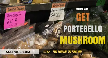 Where to Find Portobello Mushrooms: Top Sources and Buying Tips