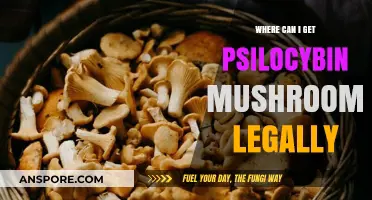 Legal Psilocybin Mushrooms: Where to Access Them Safely and Legally