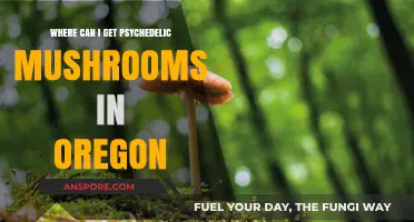 Exploring Oregon's Legal Psychedelic Mushroom Access: A Comprehensive Guide