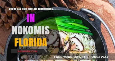 Finding Shiitake Mushrooms in Nokomis, Florida: Local Sources & Tips