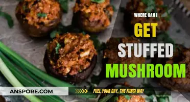 Discover the Best Spots to Enjoy Delicious Stuffed Mushrooms Near You