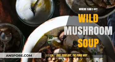 Discover the Best Spots to Savor Wild Mushroom Soup Near You
