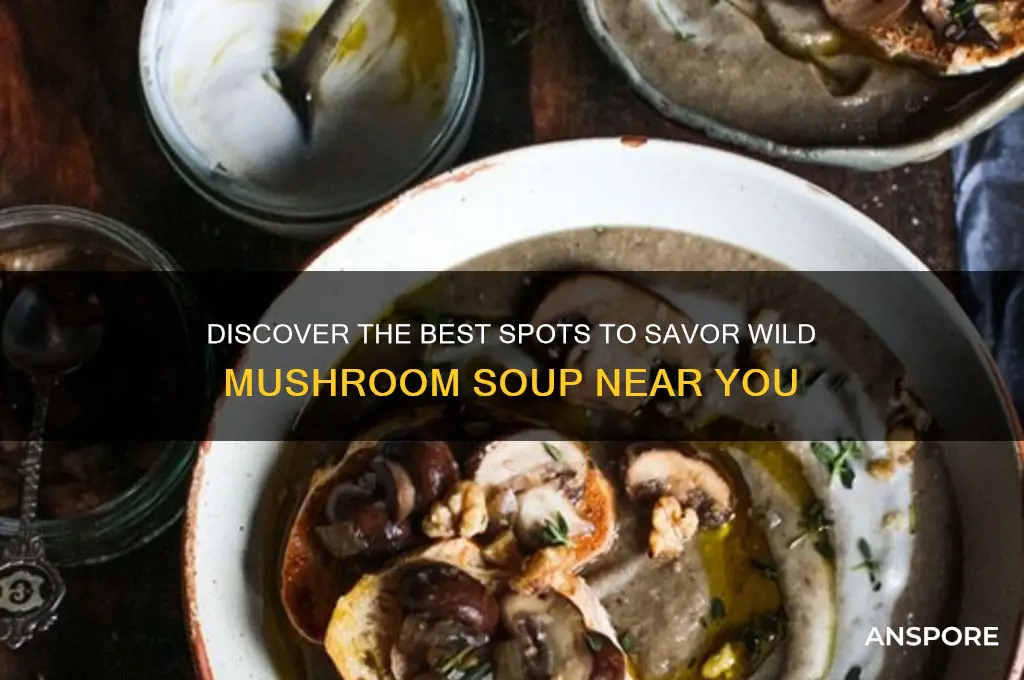 where can i get wild mushroom soup