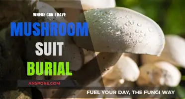 Eco-Friendly Farewell: Mushroom Suit Burial Options and Locations