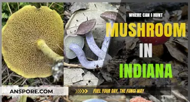 Indiana's Best Mushroom Hunting Spots: A Forager's Guide to Prime Locations