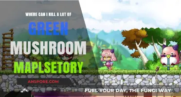 Best Green Mushroom Farming Spots in MapleStory: High Yield Locations