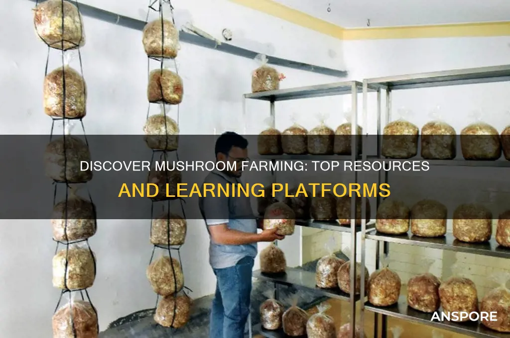 where can i learn mushroom farming