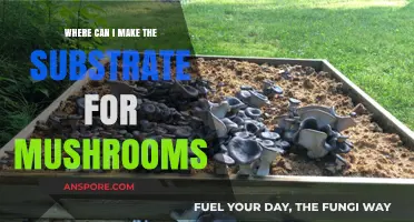 Crafting Mushroom Substrates: Top Locations and DIY Methods Revealed
