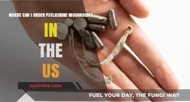 Legal Psilocybin Mushroom Sources in the US: A Comprehensive Guide