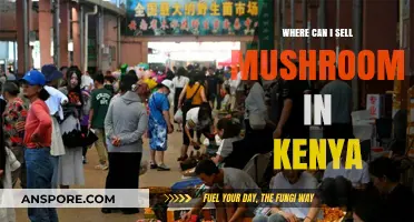 Top Mushroom Selling Spots in Kenya: A Comprehensive Guide