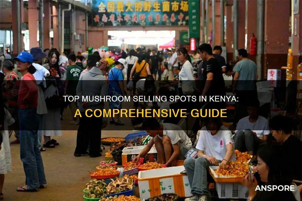 where can i sell mushrooms in kenya