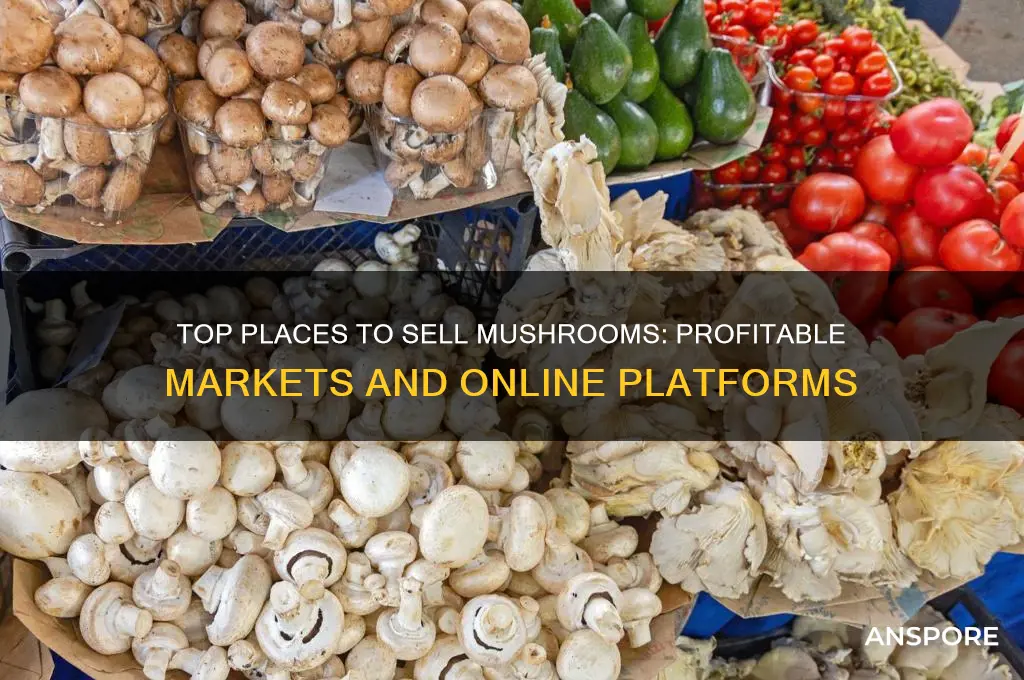 where can i sell mushrooms