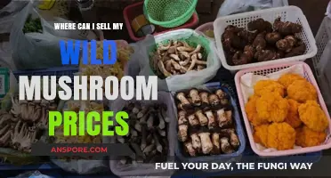 Top Places to Sell Wild Mushrooms for Best Prices
