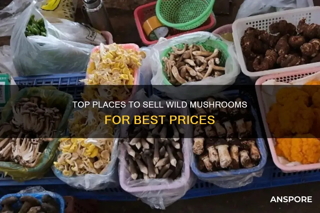 where can i sell my wild mushroom prices