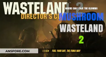 Discover Glowing Mushrooms in Wasteland 2: Top Locations Guide