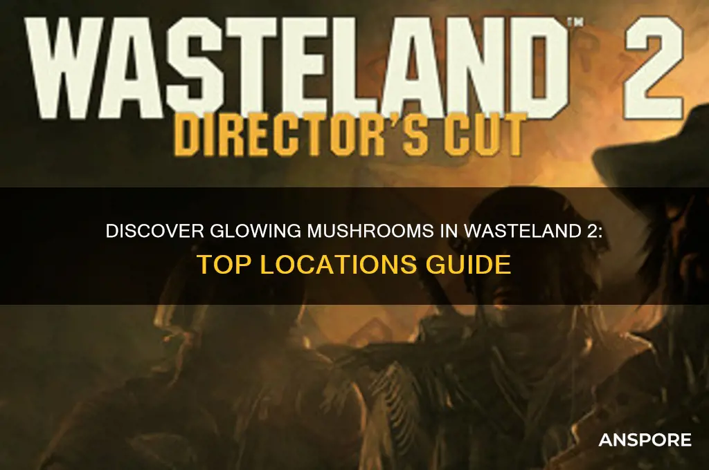 where can i taje the glowing mushrooms wasteland 2