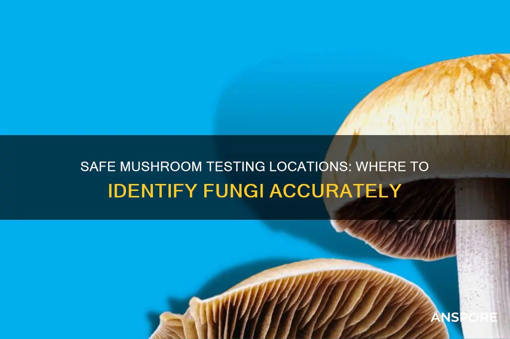 where can i test mushrooms