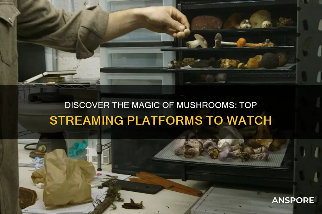 where can i watch the magic of mushrooms