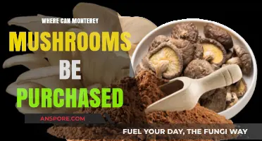 Where to Buy Monterey Mushrooms: A Comprehensive Shopping Guide