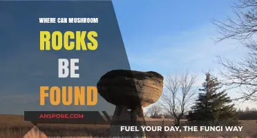 Discovering Mushroom Rocks: Locations and Unique Geological Formations