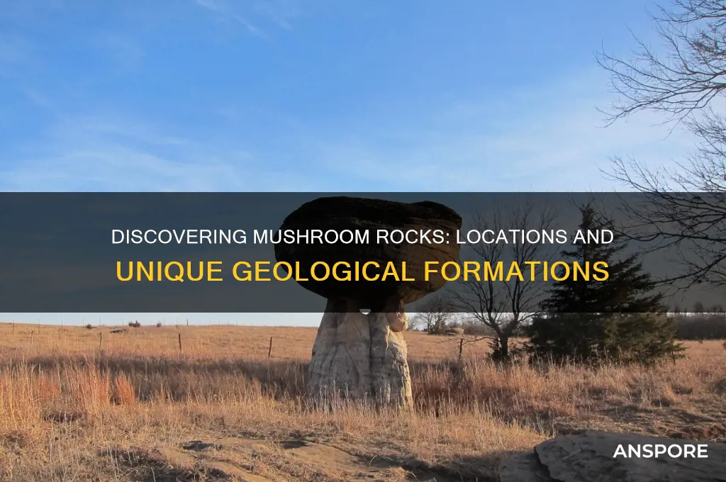 where can mushroom rocks be found