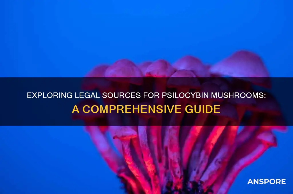 where can one get psylocibin mushrooms