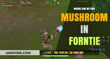Discovering Mushroom Hotspots in Fortnite: A Forager's Ultimate Guide