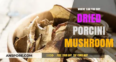 Discover the Best Places to Buy Dried Porcini Mushrooms