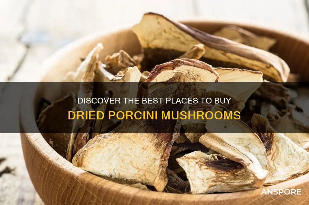 where can you buy dried porcini mushrooms