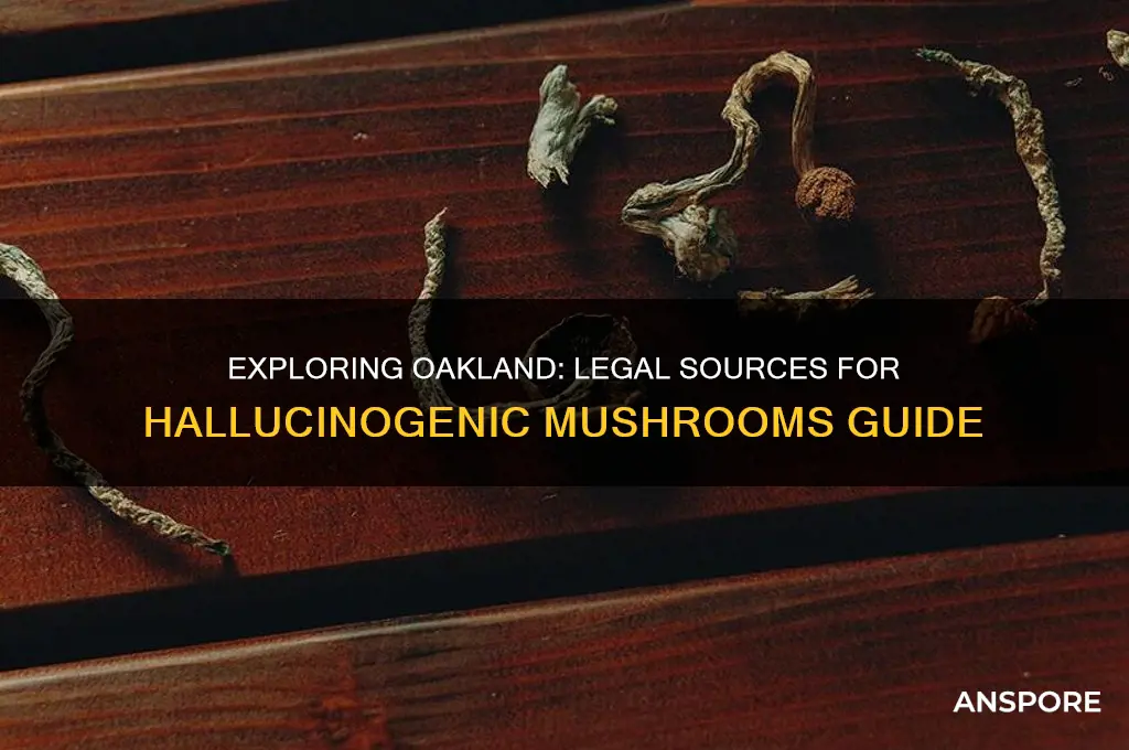 where can you buy hallucinogenic mushrooms in oakland