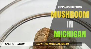 Where to Buy Magic Mushrooms in Michigan: A Comprehensive Guide